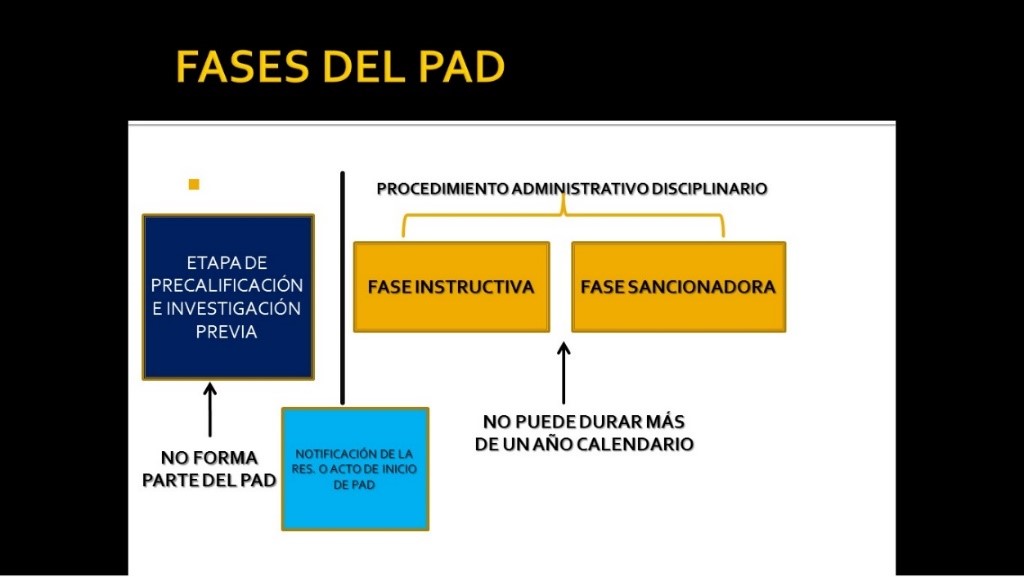 disciplina